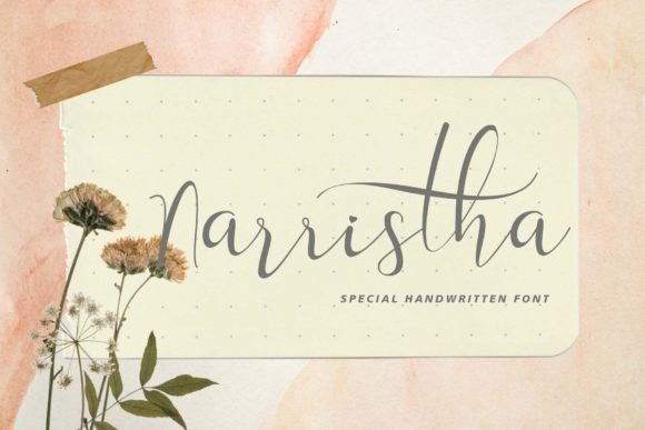 Narristha: A Romantic Script Typeface for Elegant Web Design