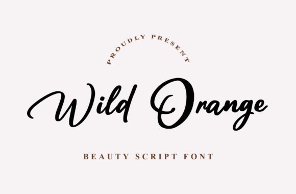 Wild Orange: The Perfect Script Font for Handmade Products